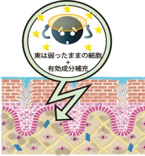 従来のフェイシャル