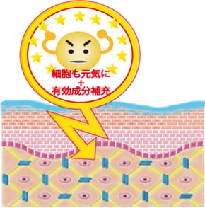 リブセラ・プラズマフェイシャル